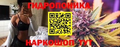 гашик Кандалакша