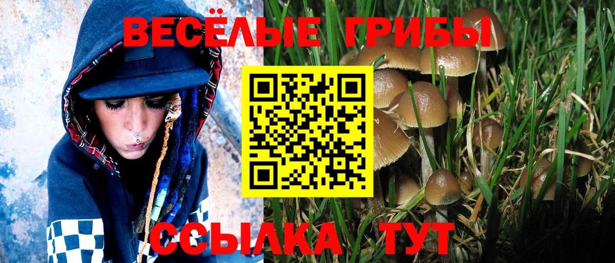 продажа наркотиков  Галлюциногенные грибы MAGIC MUSHROOMS  Галлюциногенные грибы мицелий  Вход с VPN  Конаково 