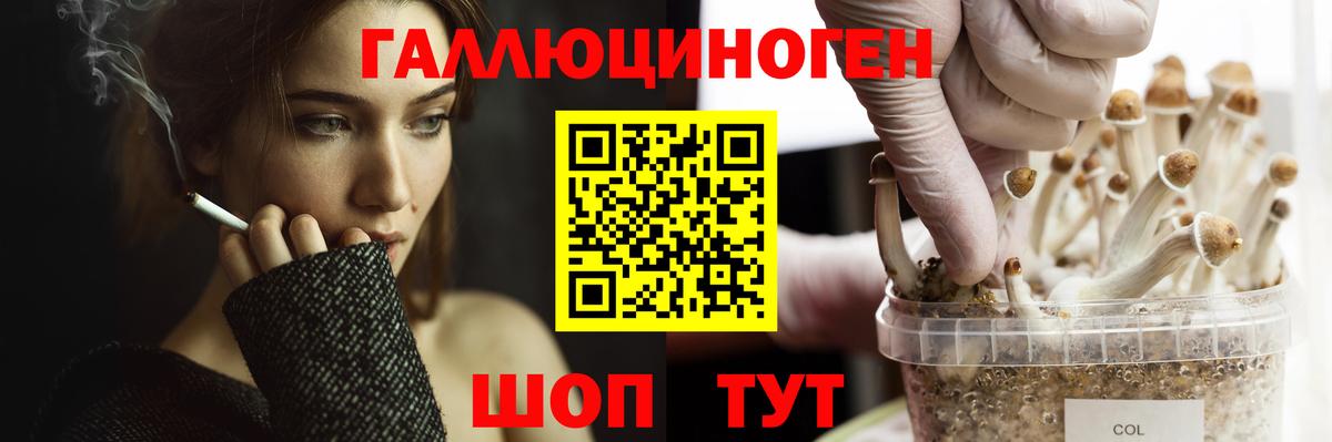 Псилоцибиновые грибы Cubensis Конаково